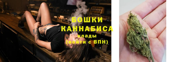 ПСИЛОЦИБИНОВЫЕ ГРИБЫ Магадан