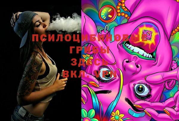 spice Всеволожск