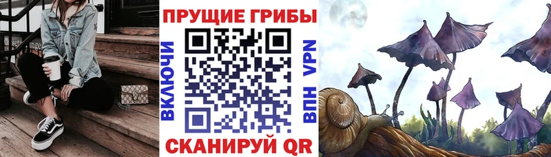 Купить закладки  Крымск  Псилоцибиновые грибы MAGIC MUSHROOMS 